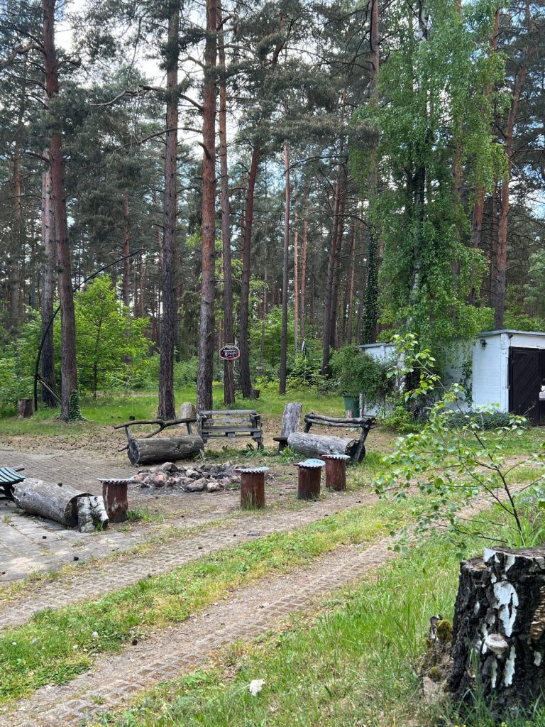 Gemeinschaftsplatz zum grillen, reden und wohlfühlen im Wald Camp